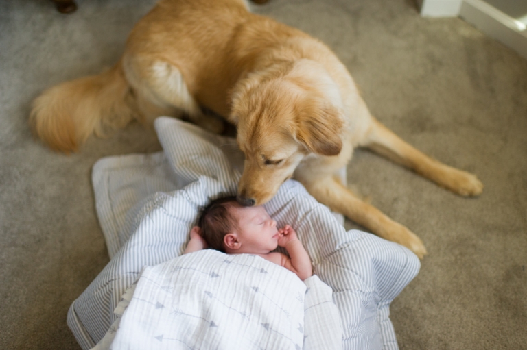 Newborn pictures with Dog