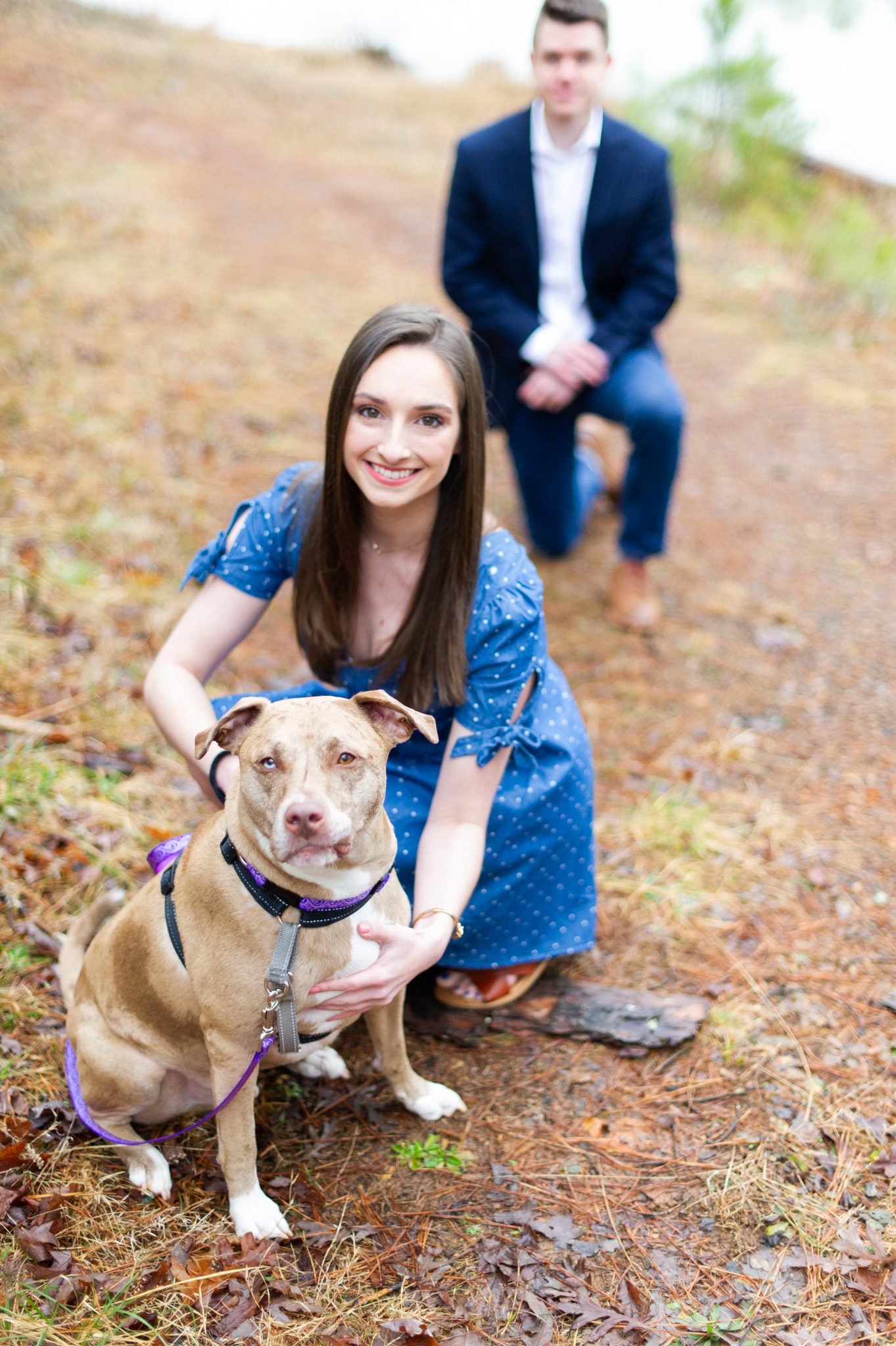 Proposal photos with dog